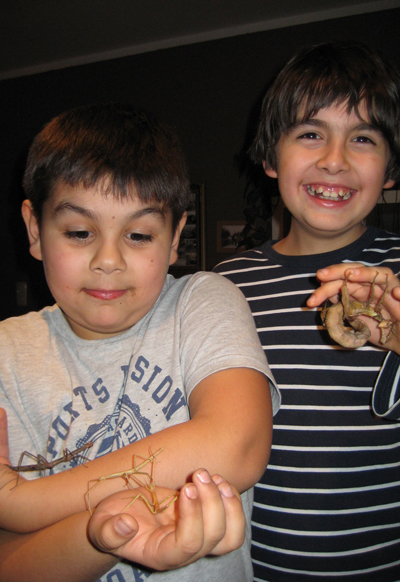 Benicio und Camilo mit ihren Schrecken, Foto: (c) Benicio und Camilo