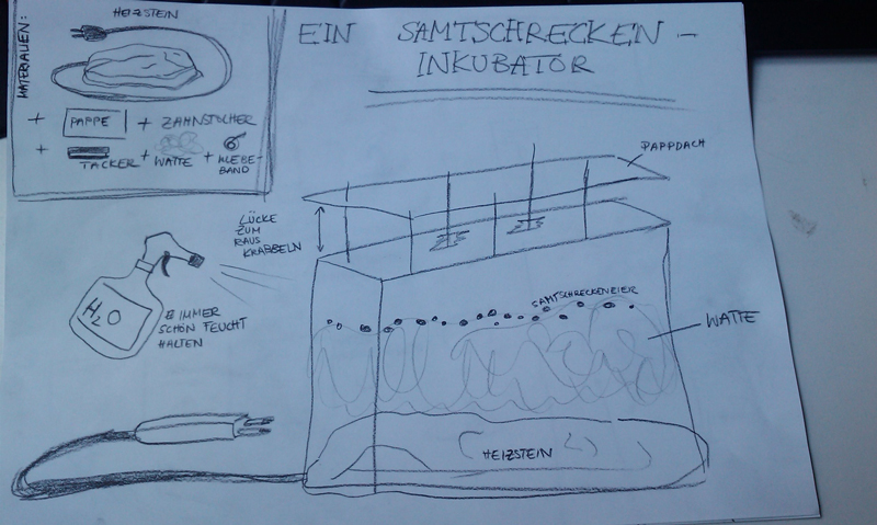 Konstruktionsskizze SchreckenEi-Inkubator, Foto: (c) Lucie Nichelmann