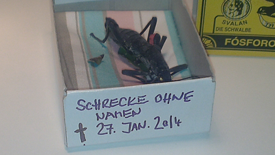 Schrecke ohne Namen, Foto: (c) Valentin